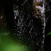 DSC04537