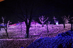 DSC01150