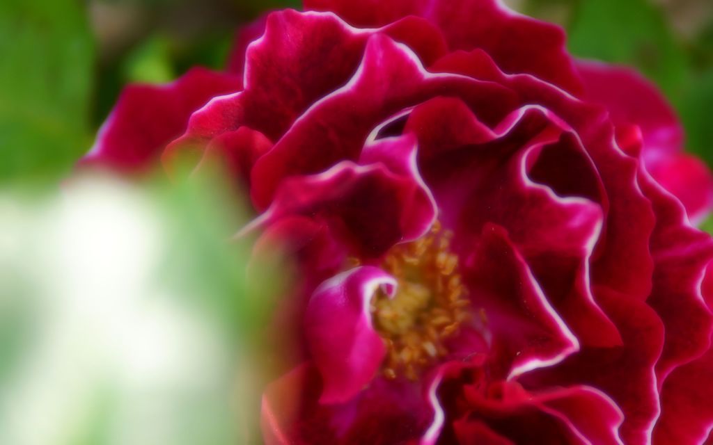 DSC03143