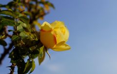DSC01559