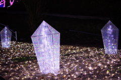 DSC01105