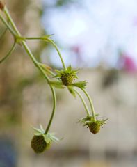 DSC01602