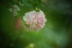 DSC03811