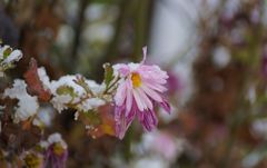 DSC01777