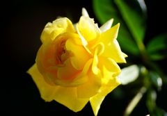 DSC05099