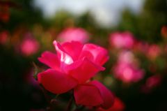 DSC08635
