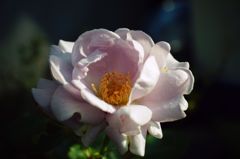 DSC03399
