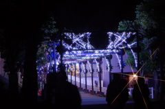 DSC00988