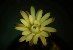 DSC03164