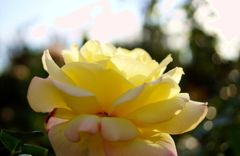 DSC08639