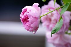 DSC06307