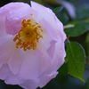 DSC05188