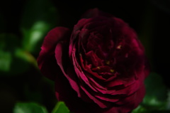 DSC03390