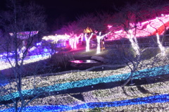 DSC01121