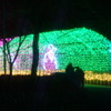 DSC01155