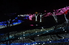 DSC01117