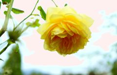 DSC08808