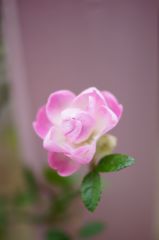DSC00900