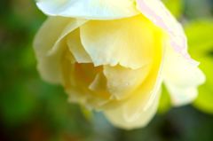 DSC08096