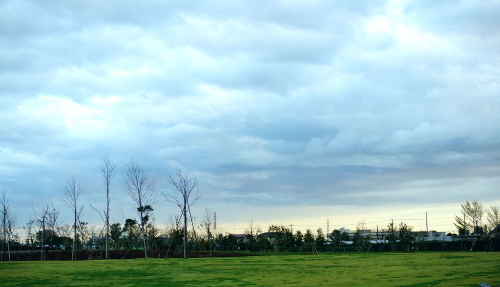 DSC08818