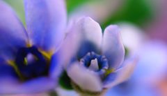 DSC01979 - コピー