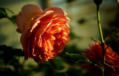 DSC03580