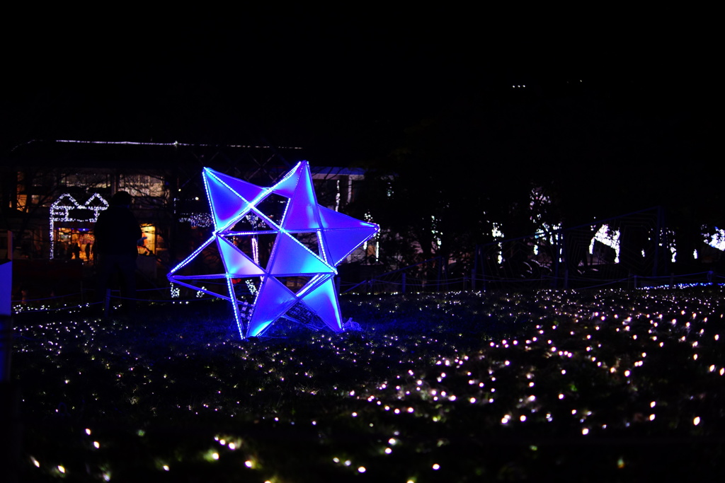 DSC01030