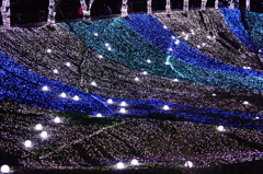 DSC01065