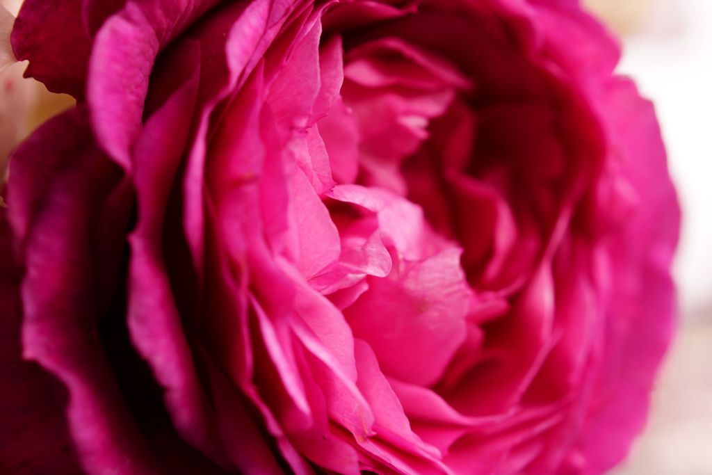 DSC09091