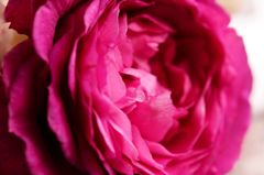 DSC09091