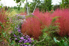 DSC08801