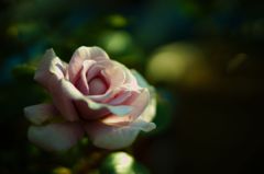 DSC03477
