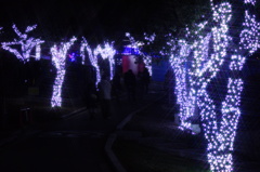 DSC00990