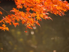 水際満ちて