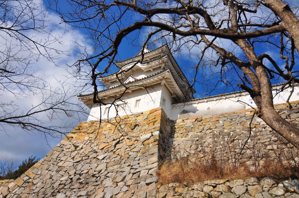 青空と明石城