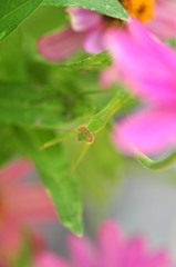初顔合わせ(^_-)-☆