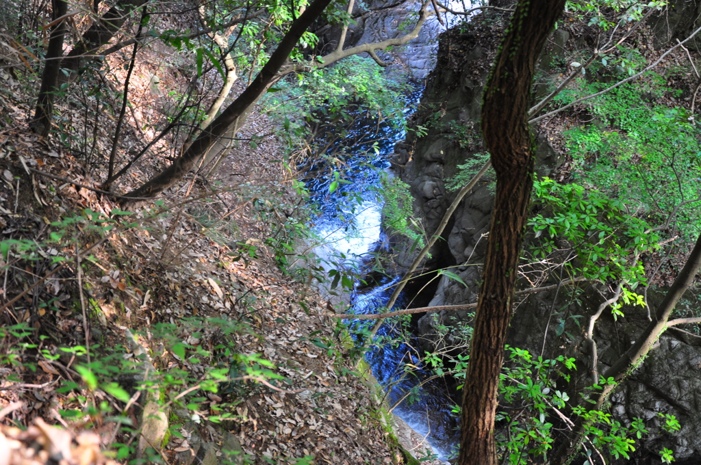 青