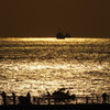 夕凪にたわむれて