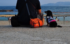 飼い主と愛犬