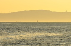海の見張り番