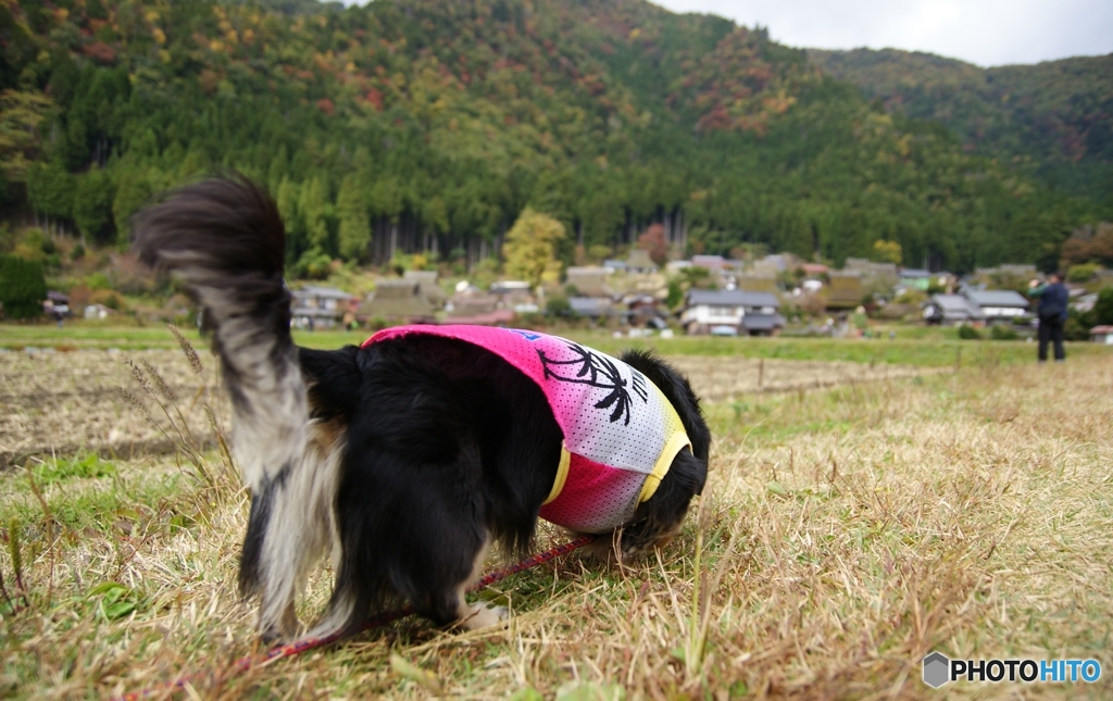 おしり