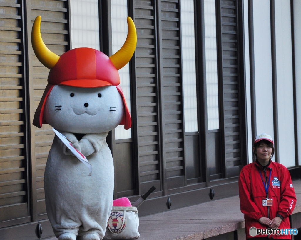 ひこにゃん