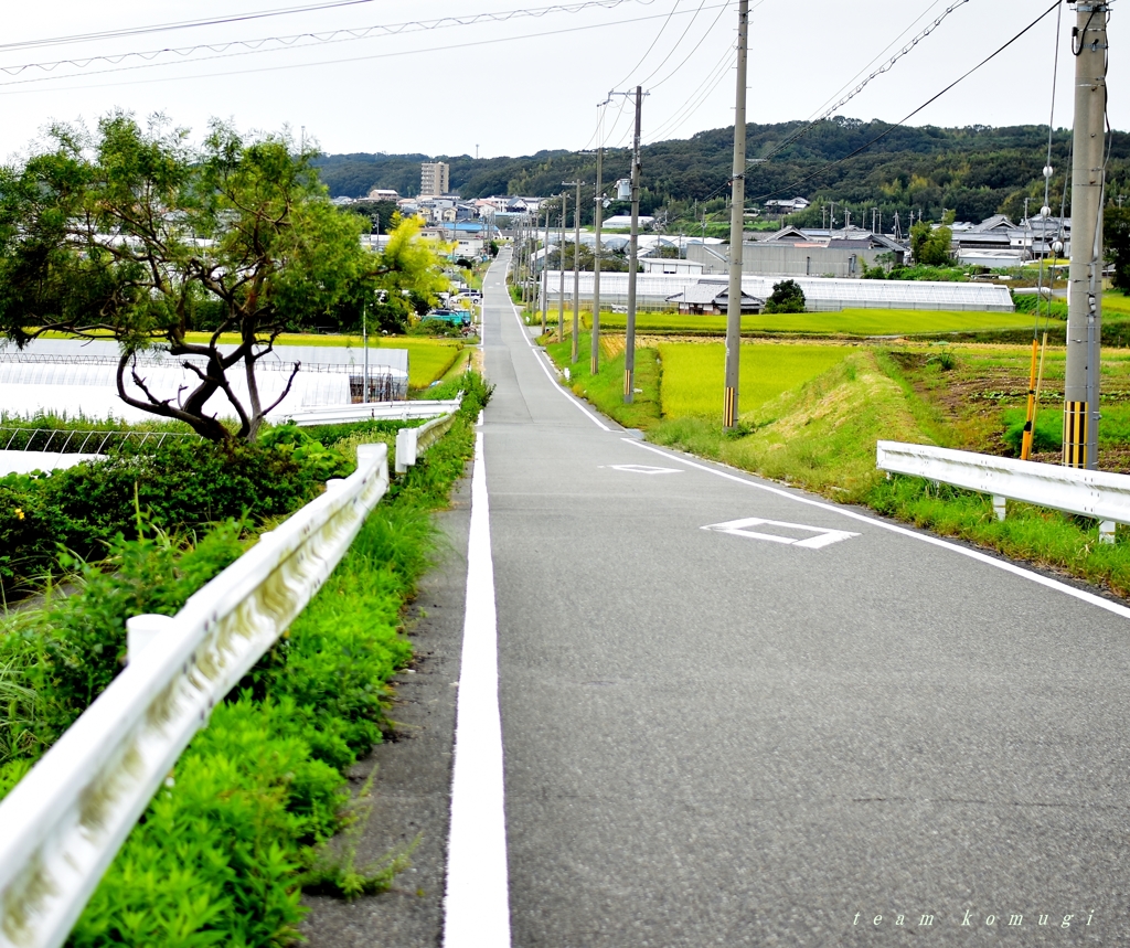 長い坂道