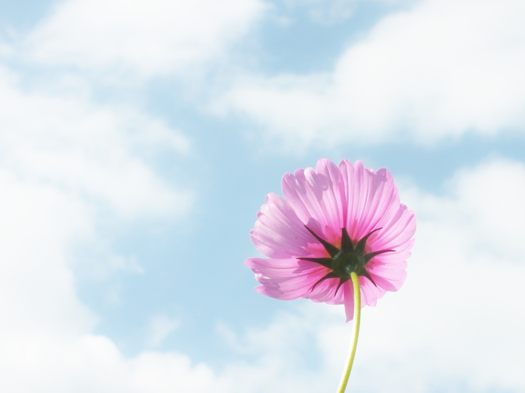 空へ