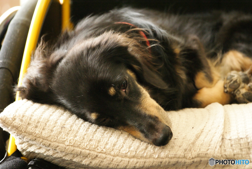 sleeping