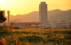 夕暮時に