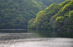 森と水
