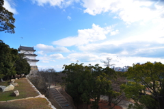 鳩の飛行隊接近中