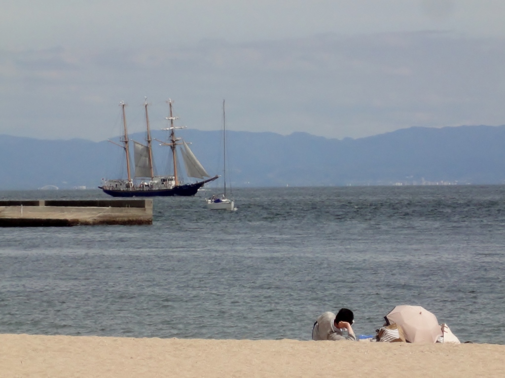 帆船だあ