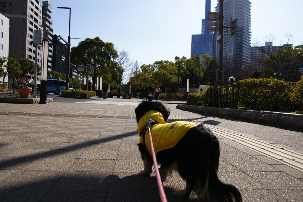 こむぎ公園を振り返る